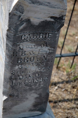 Carrie Brown (1873-1893) – Find a Grave-äreminne