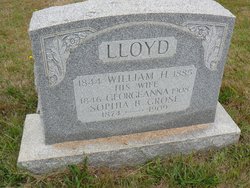  William H. Lloyd