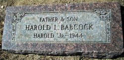  Harold Lewis Babcock Jr.