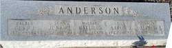  Alfred L. Anderson