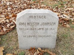  Amy <I>Nelson</I> Johnson