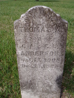  Thomas A. Anderson