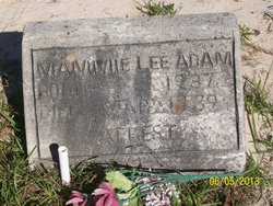  Mammie Lee Adams
