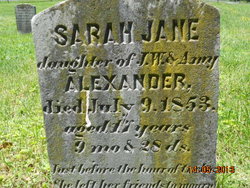  Sarah Jane Alexander