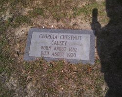  Georgia <I>Chestnut</I> Causey