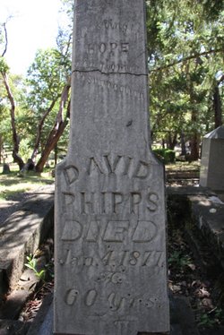  David M Phipps
