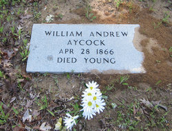  William Andrew Aycock
