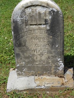 Sarah Jane Clowers Whitenack (1845-1890) - Find a Grave Memorial