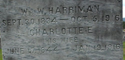  William Warren Harriman
