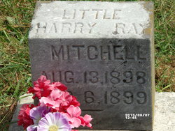 Harry Ray Mitchell