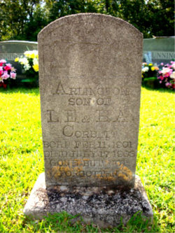 Arlington Corbett (1901-1903)