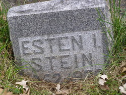  Esten I Stein