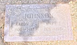  Aaron J Johnson
