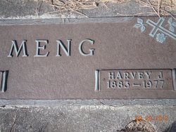  Harvey J Meng