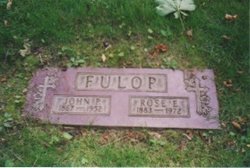  Janos P. Fulop