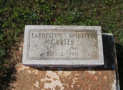  Earnestine <I>Brinkley</I> Carter