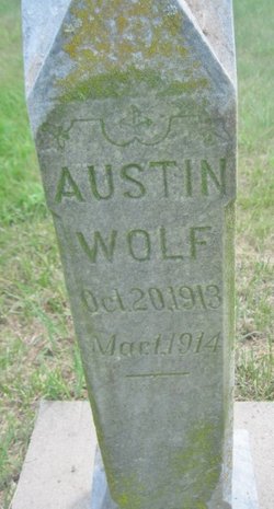 Austin wolf