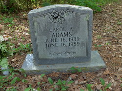  Carol A Adams
