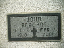  John Bergant