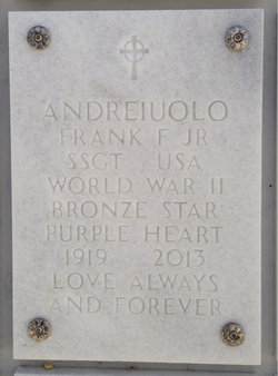  Frank F Andreiuolo Jr.