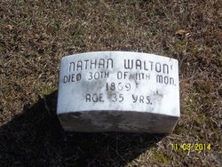  Nathan P Walton