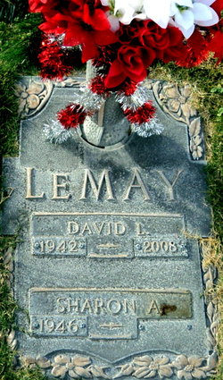 David L. LeMay (1942-2008)