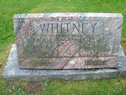 Sarah Laney Whitney (1866-1944)