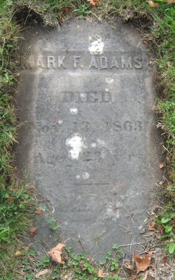  Mark F Adams