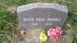 Anita rose morris