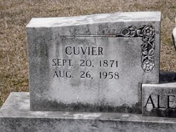  Cuvier Alexander