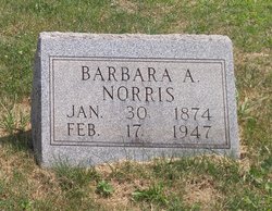  Barbara Ann <I>Currey</I> Norris