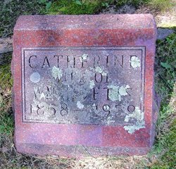 Catherine Timlin Loftis (1858-1929)