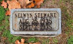  Nelwyn Stewart