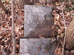  Emily Bell <I>Harvey</I> Harvey