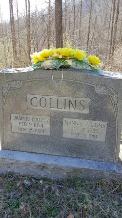  Nancy “Nannie” <I>Collins</I> Collins