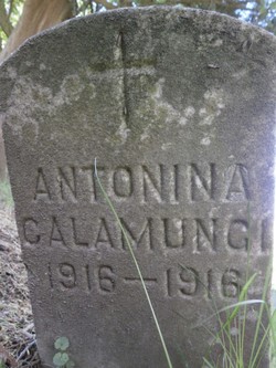  Antonina Calamungi