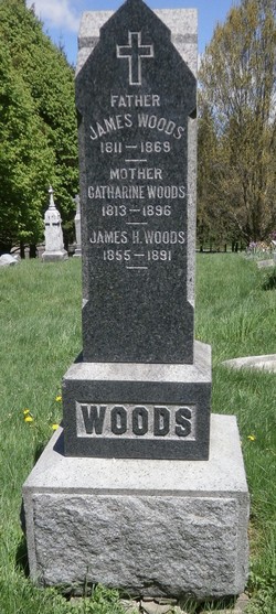  James Woods