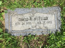  David A Mueller
