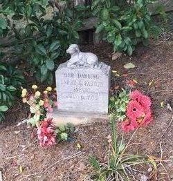 Larry Gerald Parton (1955-1955) - Find a Grave Memorial