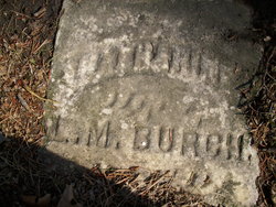  Lewis M. Burch