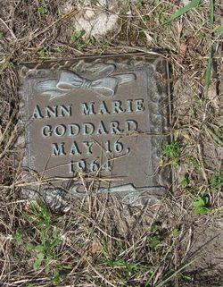 Ann marie goddard