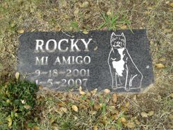  Rocky “Mi Amigo” Dog