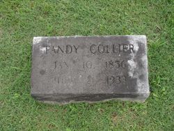  Tandy Celey Collier
