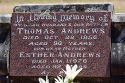  Thomas Andrews