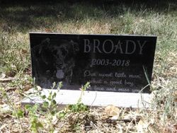  Broady Dog