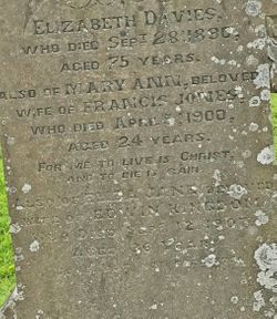 Mary Ann Jones (1876-1900) - Find A Grave Memorial