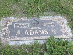  Antonius Adams