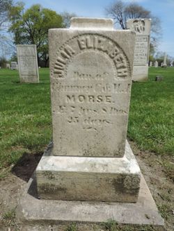  Julia Elizabeth Morse