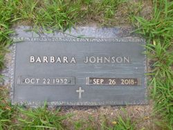  Barbara Ann <I>Peterson</I> Johnson