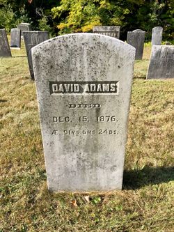  David Adams